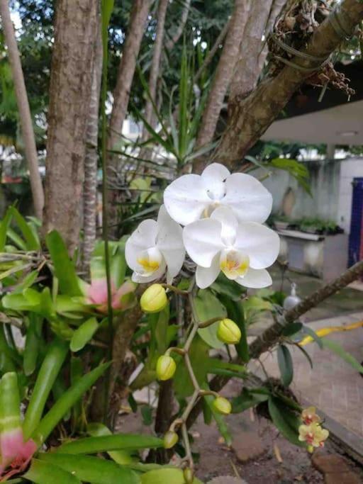 Casa Jd Oceanico - Barra Da Tijuca -rj Río de Janeiro